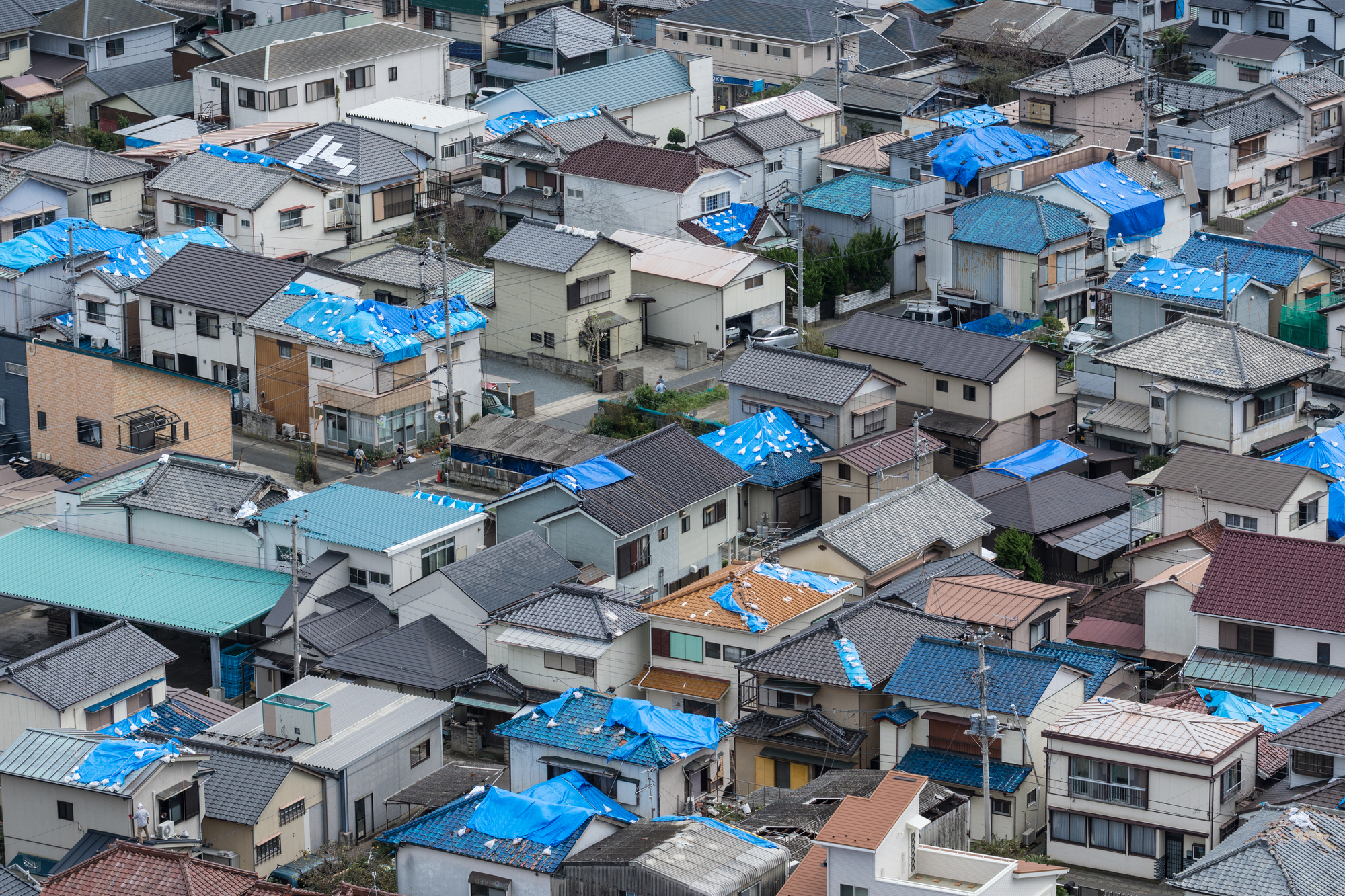 被害報告から徹底検証！ 台風の後の、屋根のチェックポイントとは？